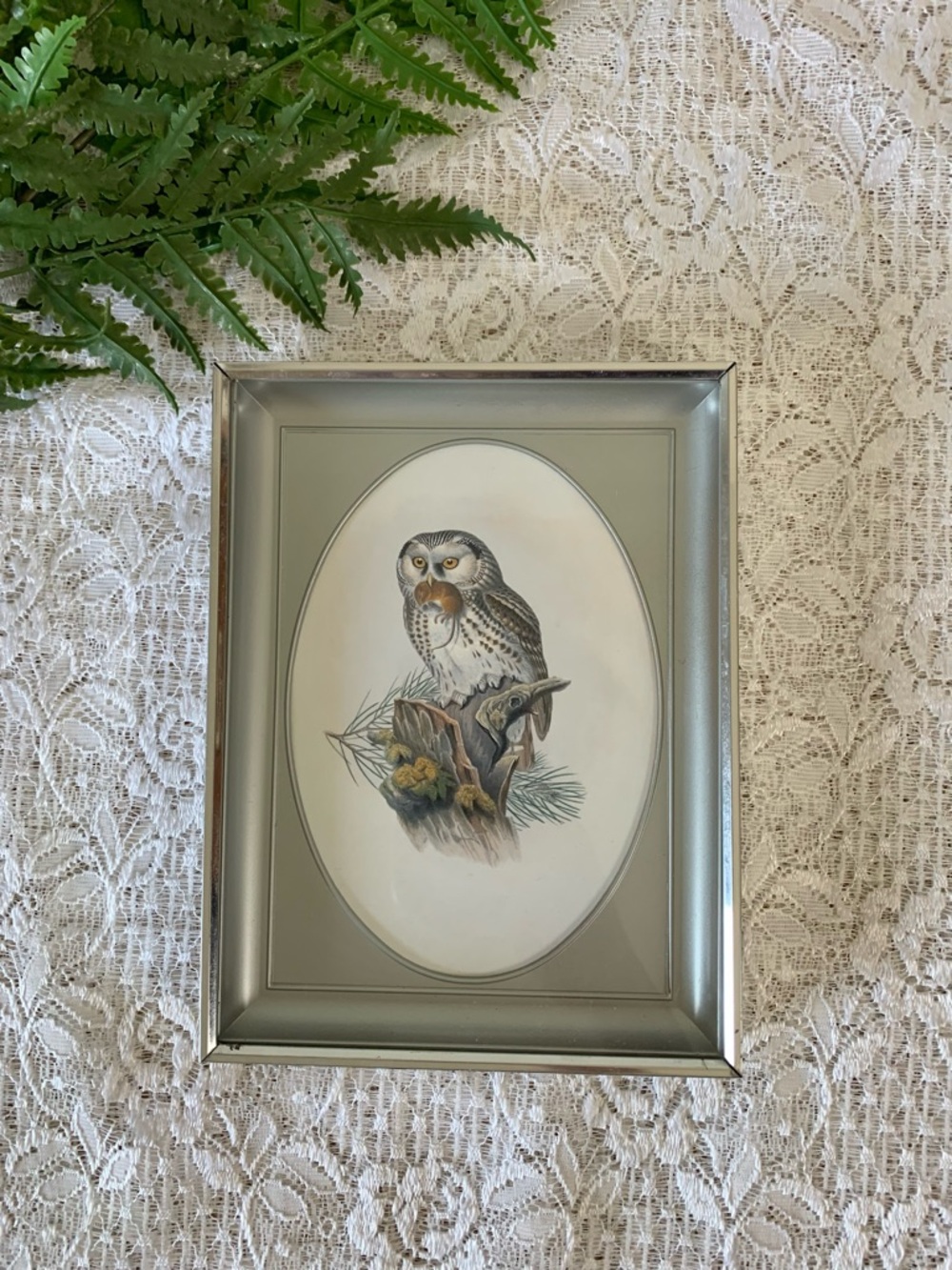 Vintage Silver Tone Framed Owl Decor 5x7